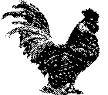 [Image of a Mille Fleur cock]